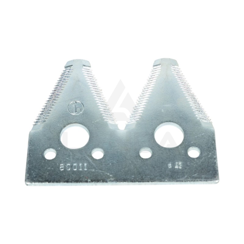 SECCION DOBLE PUAS PEQUENAS