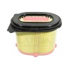 PRIMARY AIR FILTER OBROUND