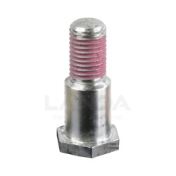 CAM BEARING BOLT