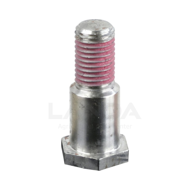 CAM BEARING BOLT