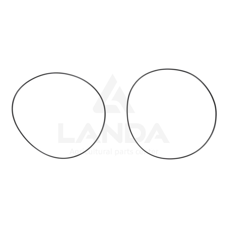 JOINT TORIQUE (2x100)