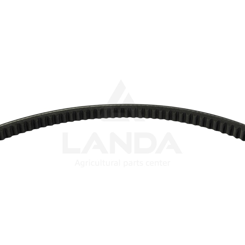 CORREA TRAPEZOIDAL DENTADA