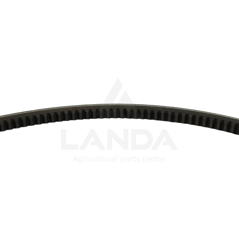 CORREA TRAPEZOIDAL DENTADA