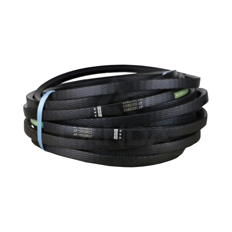 JUEGO DE 5 CORREAS TRAPEZOIDALES LISAS