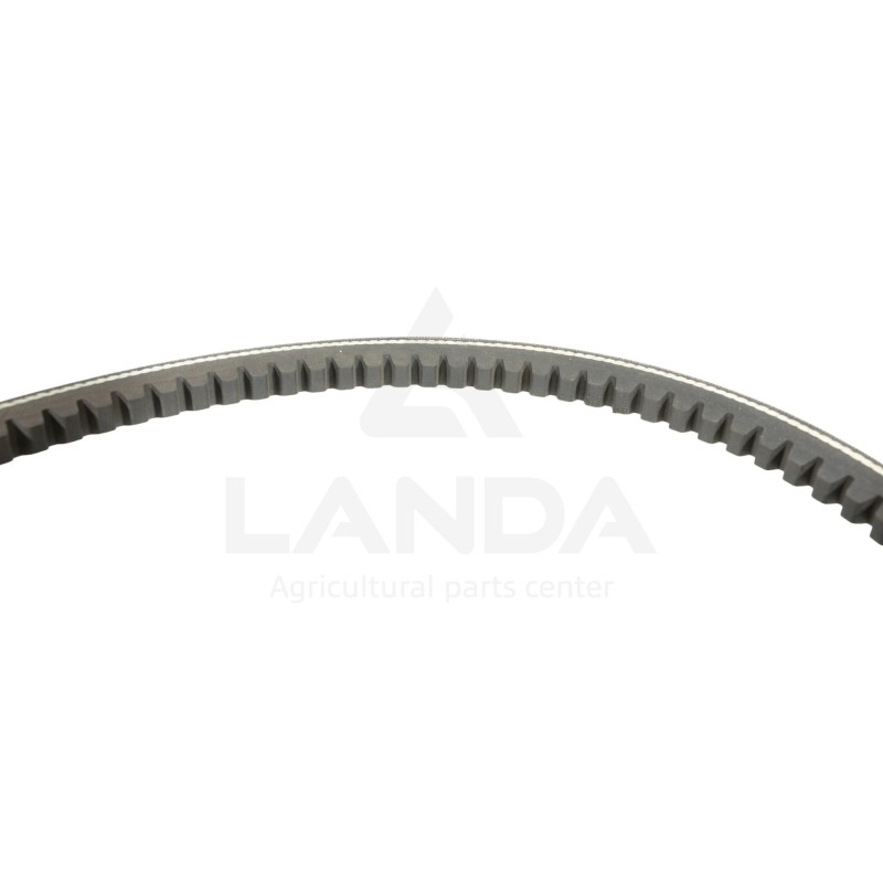 CORREA TRAPEZOIDAL DENTADA