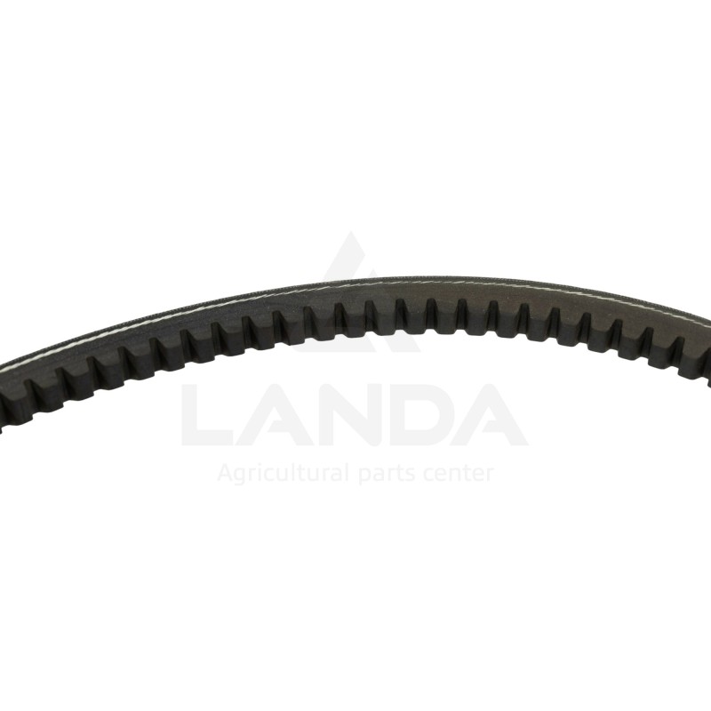 COURROIE TRAPEZOIDALE CRANTEE AP1002399