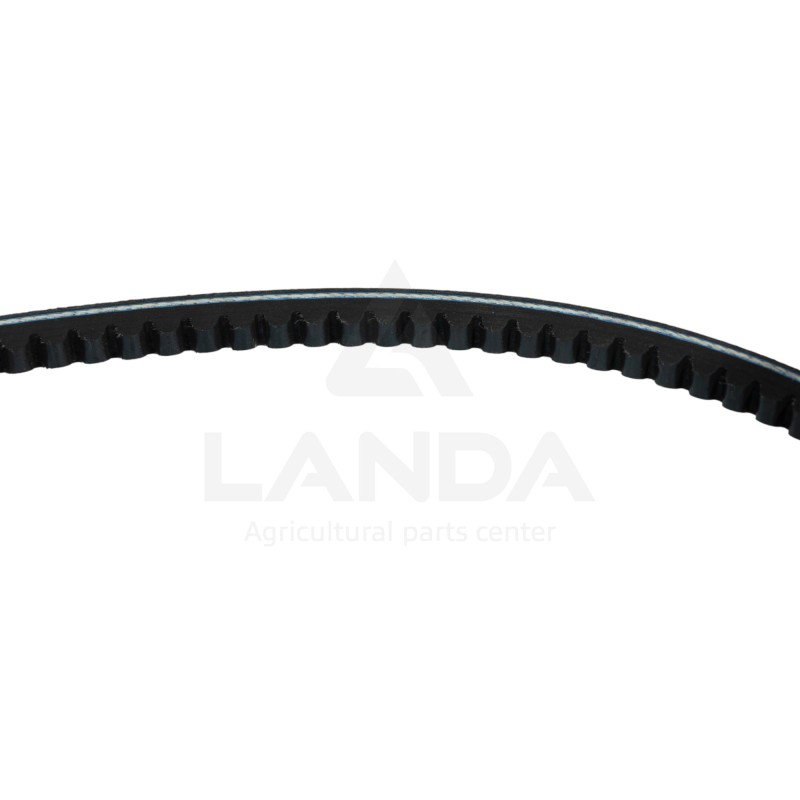 CORREA TRAPEZOIDAL DENTADA