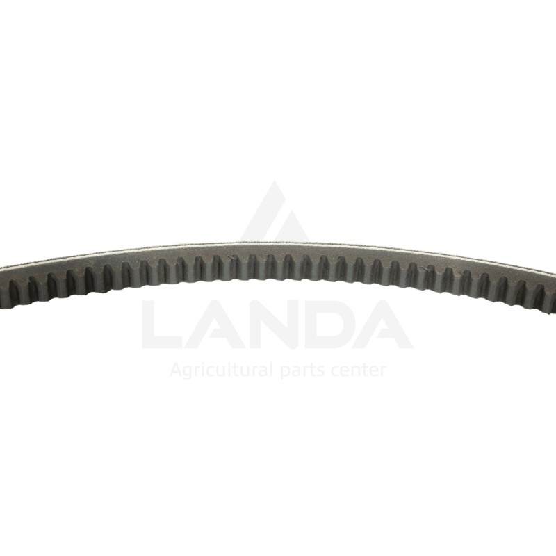 CORREA TRAPEZOIDAL DENTADA