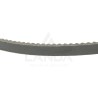 COURROIE TRAPEZOIDALE CRANTEE AP1002549