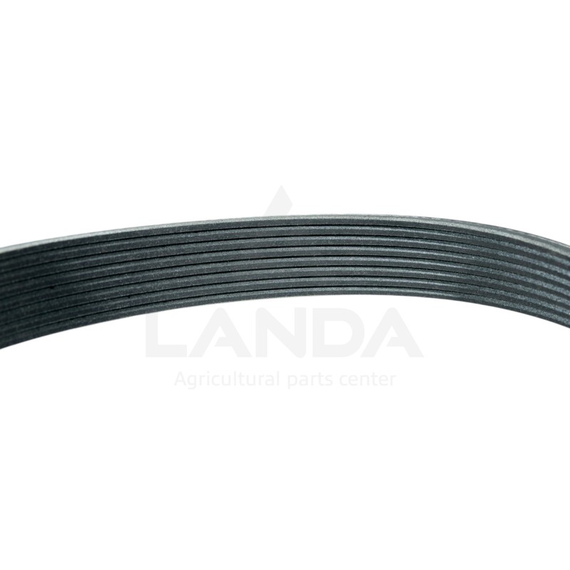 CORREA PLANA POLY-V 8 CANALES