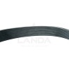 CORREA PLANA POLY-V 8 CANALES