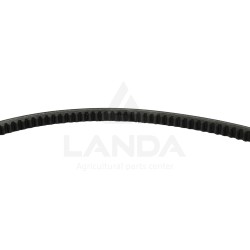 CORREA TRAPEZOIDAL DENTADA