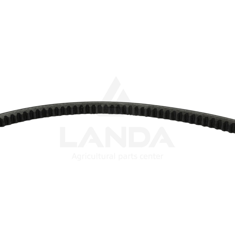 CORREA TRAPEZOIDAL DENTADA