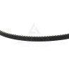 COURROIE TRAPEZOIDALE CRANTEE