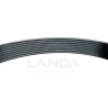 V-RIBBED BELT 8 RIBS