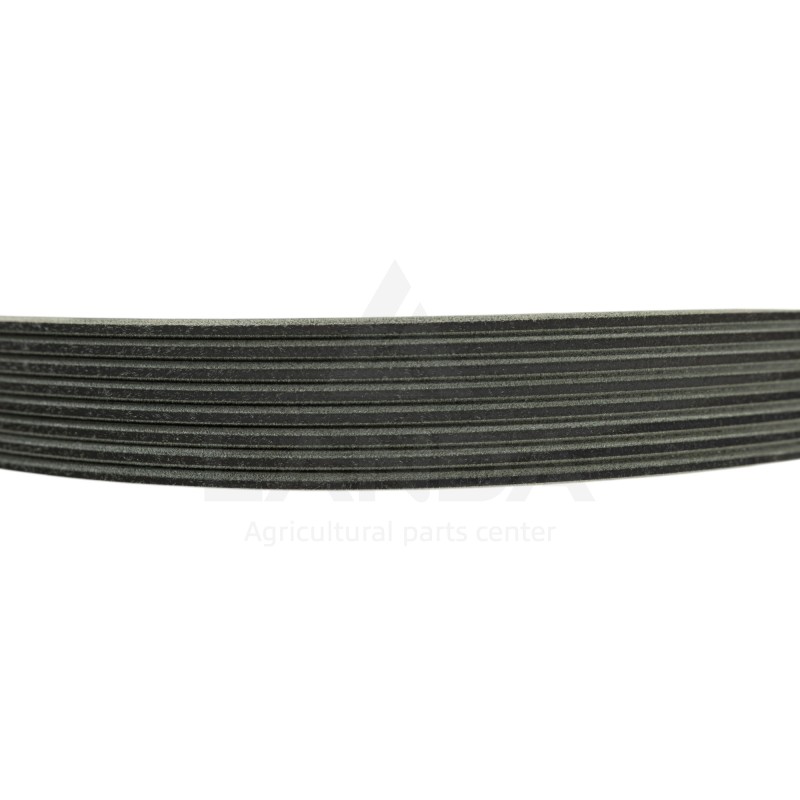 CORREA PLANA POLY-V DOBLE 8 CANALES
