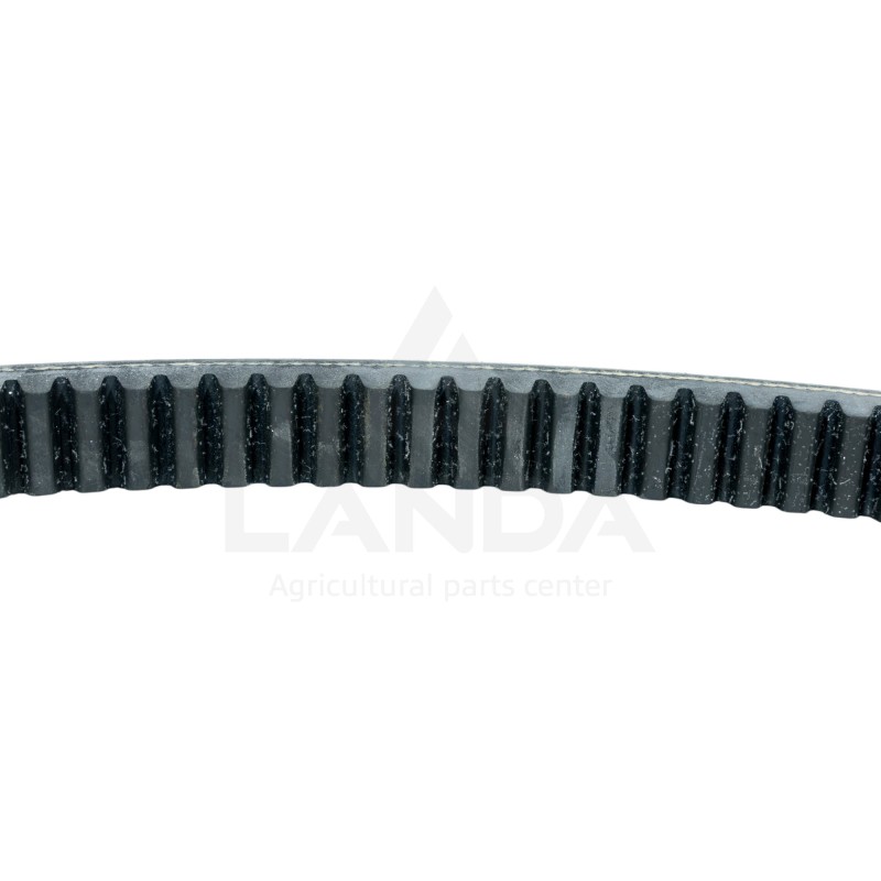 CORREA VARIADOR DENTADA