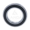 ROULEMENT A BILLES TYPE 60142RSC3