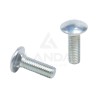 CARRIAGE BOLT M10X30