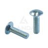 TORNILLO CABEZA DE GOTA CUELLO CUADRADO (M10x35)