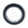 ROULEMENT A BILLES TYPE 60172RSC3