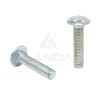 CARRIAGE BOLT M10X45