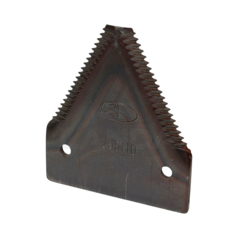 SECTION GROSSE DENTURE - FAUCILLEE DESSUS