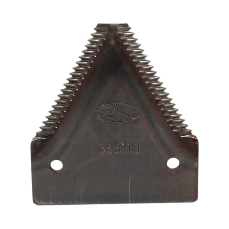 SECTION GROSSE DENTURE - FAUCILLEE DESSUS