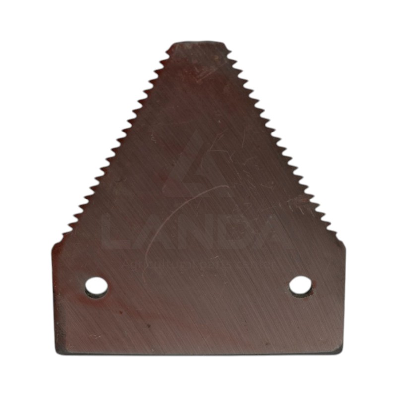 SECTION GROSSE DENTURE - FAUCILLEE DESSUS