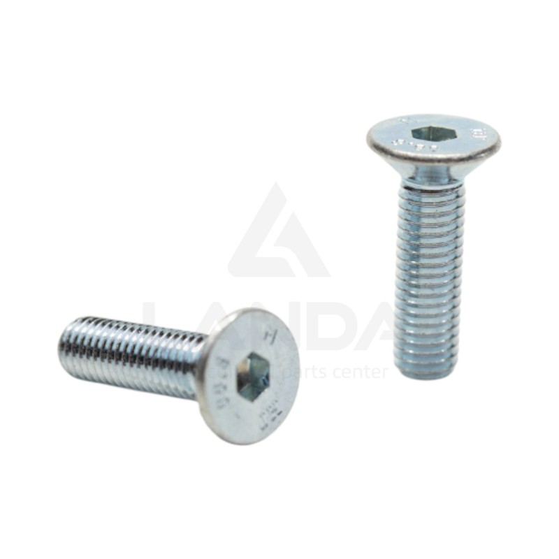 SOCKET FLAT BOLT M8X30