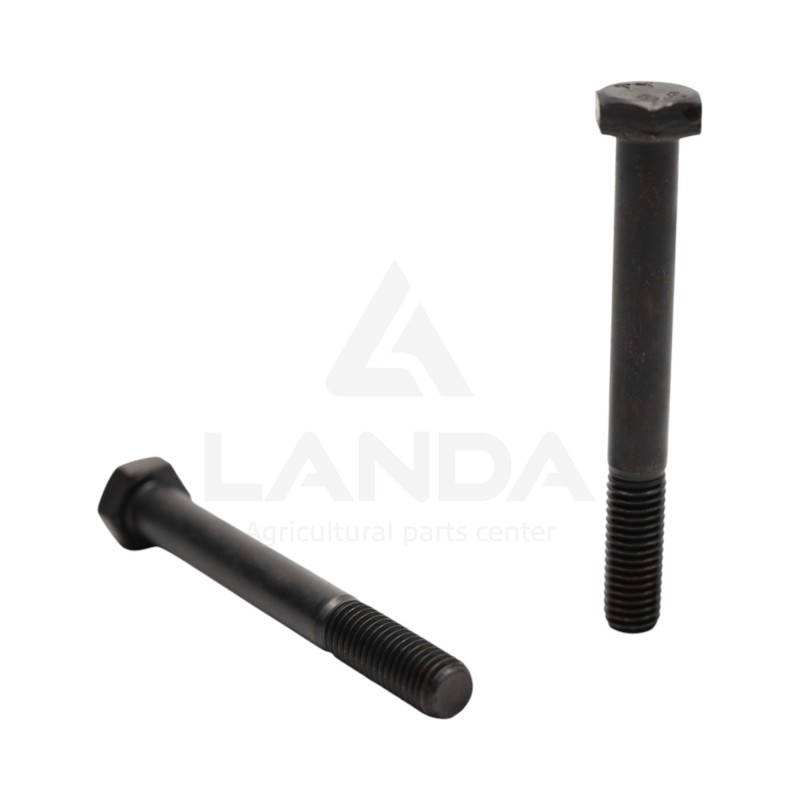 HEXAGONAL HEAD BOLT M12X100