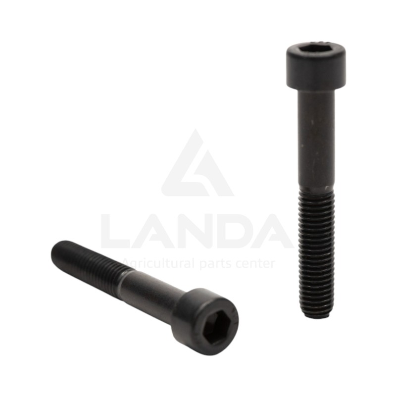 VIS TETE CYLINDRIQUE HEXAGONALE CREUSE (M10x65)