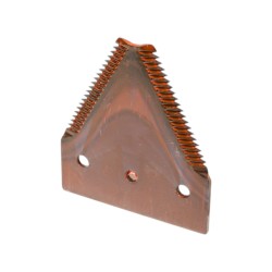 SECTION GROSSE DENTURE - FAUCILLEE DESSUS