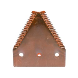 SECTION GROSSE DENTURE - FAUCILLEE DESSUS