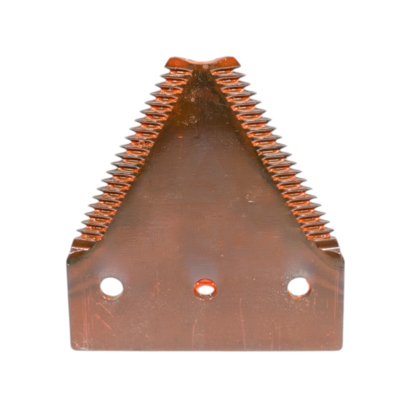SECTION GROSSE DENTURE - FAUCILLEE DESSUS