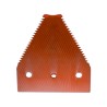 SECTION GROSSE DENTURE - FAUCILLEE DESSUS