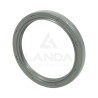 DOUBLE LIP SEAL