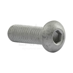 VIS DE FIXATION DE GARANT