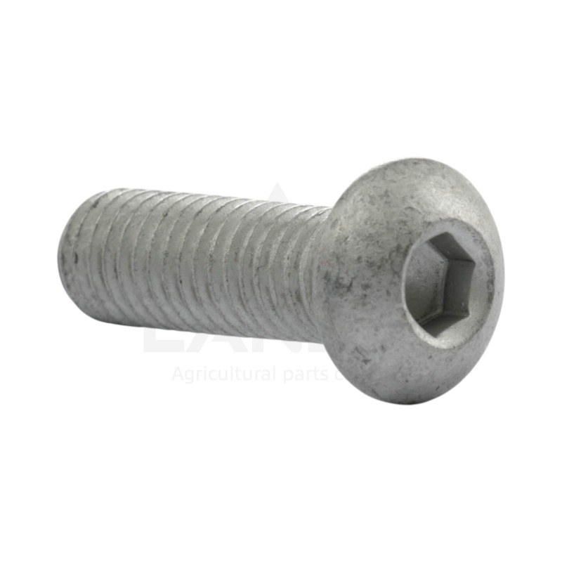 VIS DE FIXATION DE GARANT