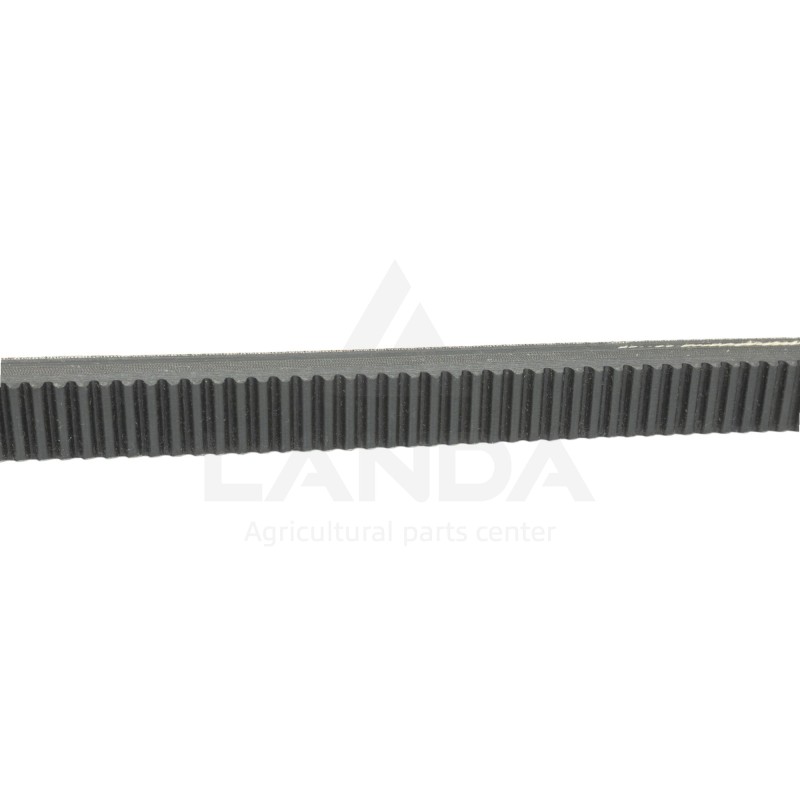 CORREA VARIADOR DENTADA