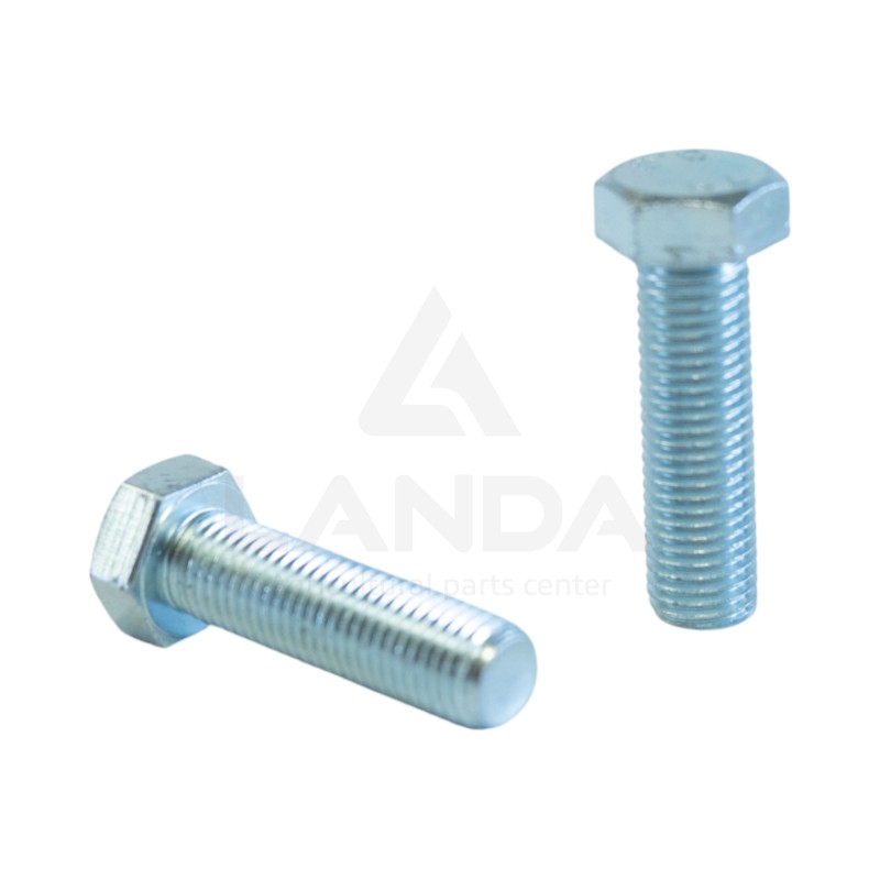 BOLT (M20x70)