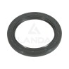 DOUBLE LIP SEAL (60x80x8)