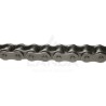 ROLLER CHAIN ASA100H BTC ( per m/5 m pack)