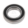 SELF-ALIGNING BALL BEARING