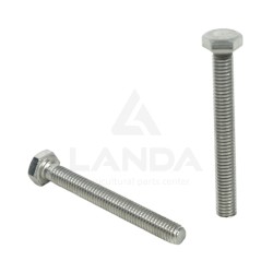 HEXAGONAL SCREW 6X50X100 INOX