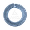 RONDELLE GROWER 12