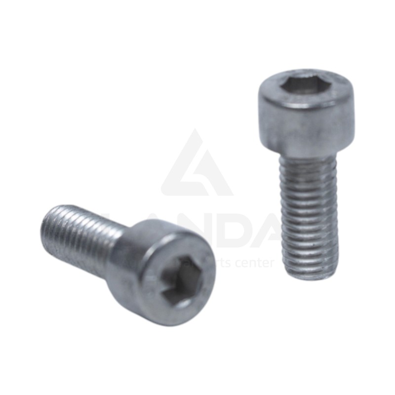 VIS TCHC 8X20X125 INOX