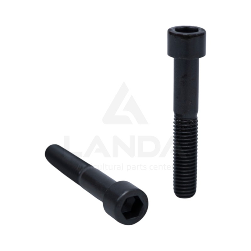 HEX SOCKET CAP SCREW