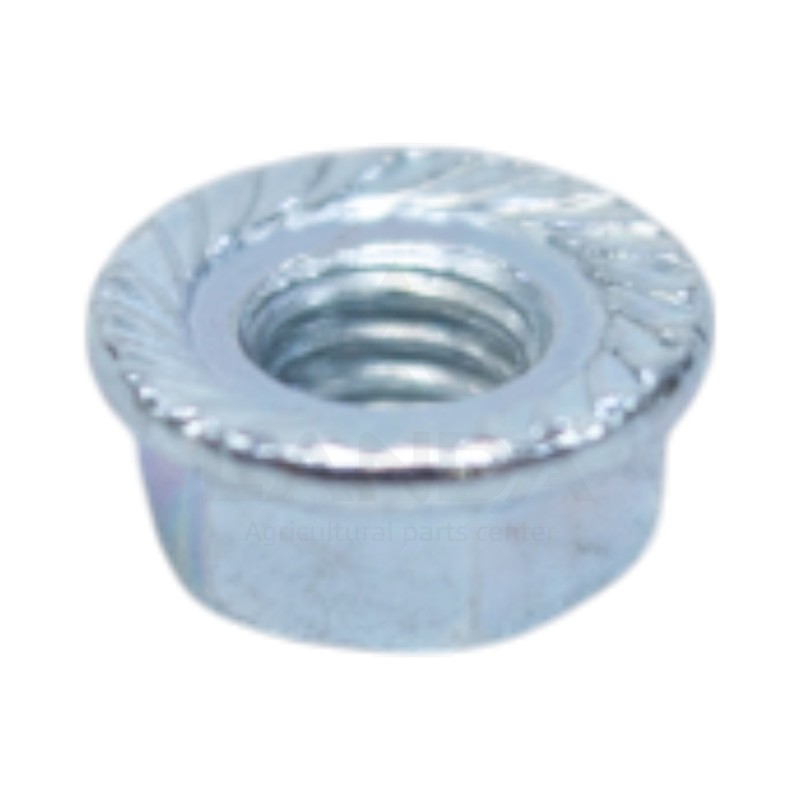 NOTCHED FLANGE NUT M6