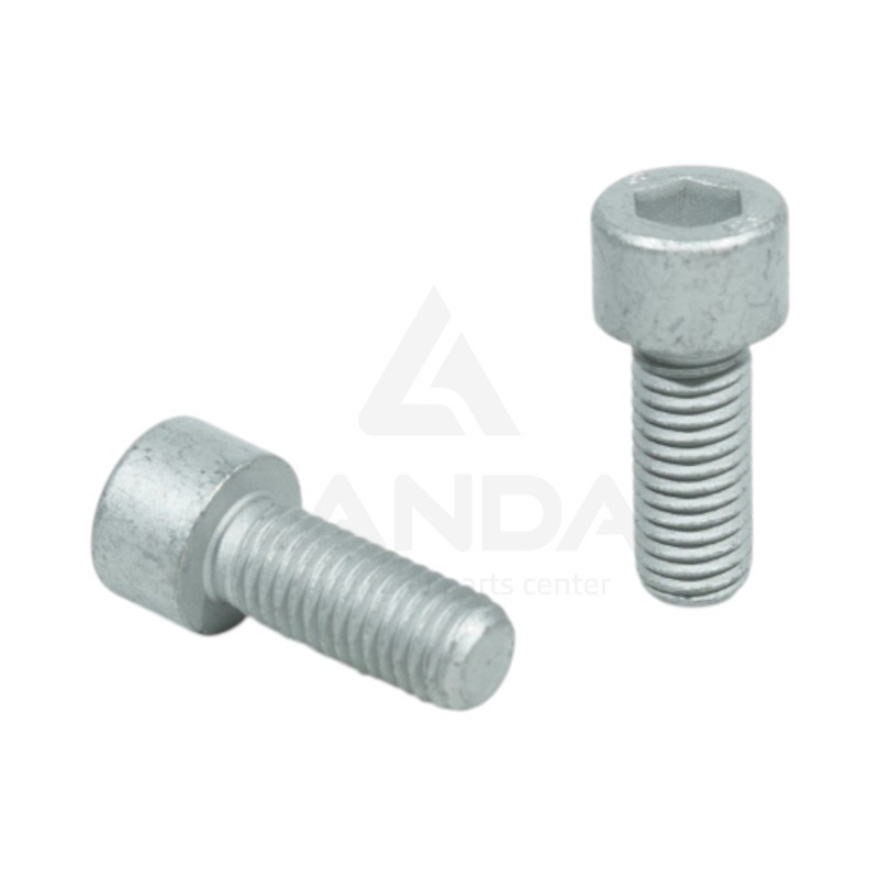 VIS TETE CYLINDRIQUE SIX PANS CREUX (M10x25)